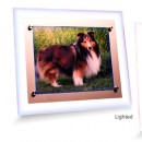 LED Picture Frame